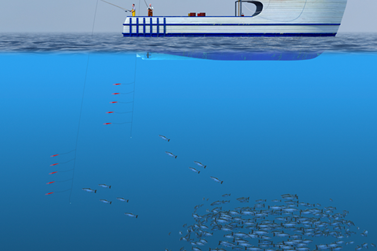 Illustration of a boat with fishers using pole-and-lines.