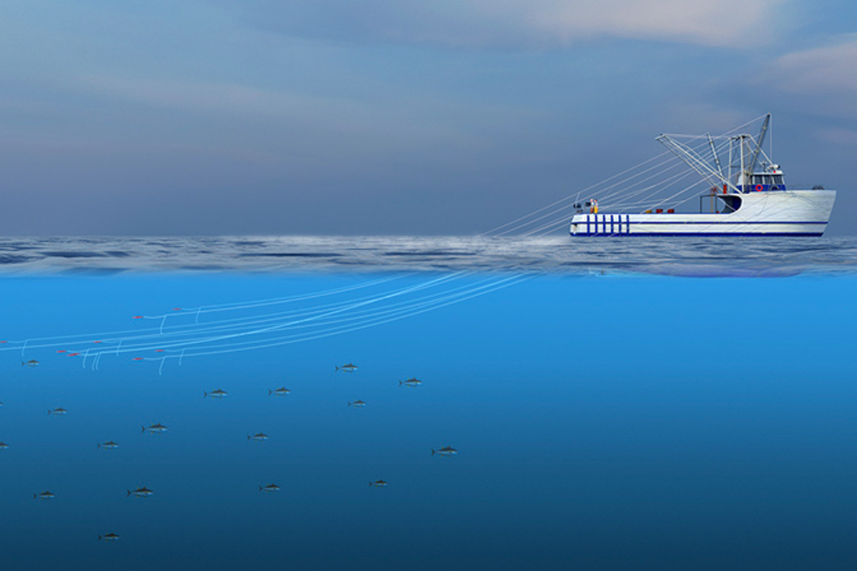 Illustration of a boat with trolling lines being towed in the water.
