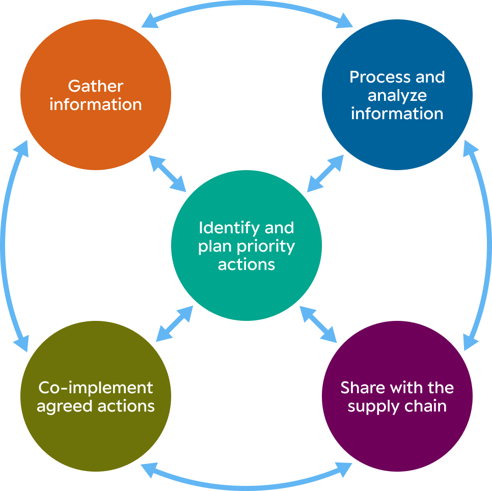Circular flow diagram showing a continuous improvement cycle gather information process and analyze information identify and plan priority actions in the center share with the supply chain with arrows indicating an ongoing loop