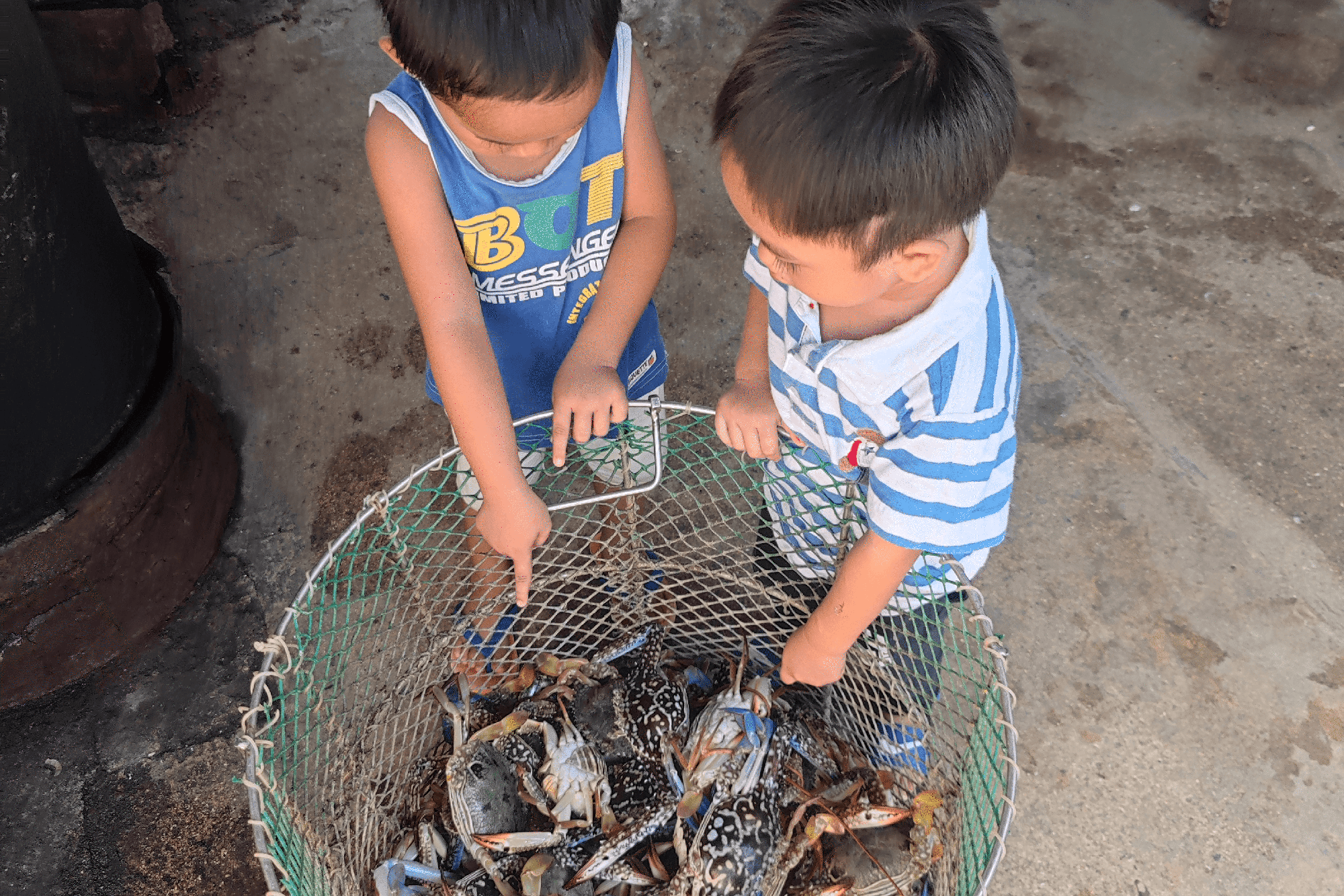 Two children point at blue swimming crabs in a basket