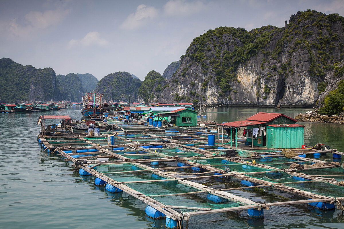 Floating aquaculture cages with small structures on water surrounded by limestone karst cliffs in Vietnam