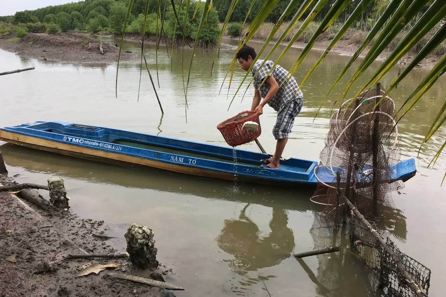 Vietnamese farmer standing on blue boat emptying basket into mangrove waterway