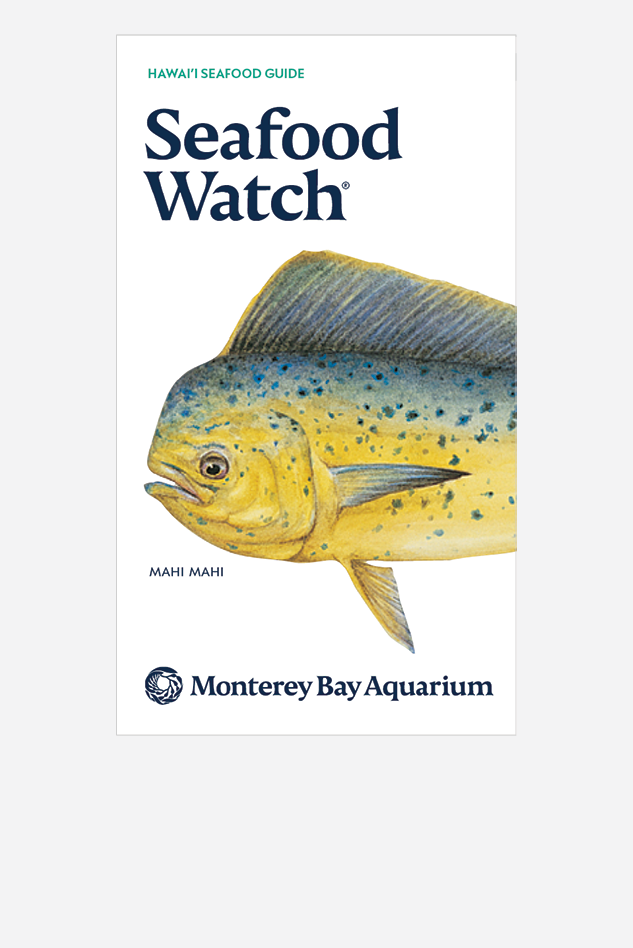 Cover of the Hawai'i Seafood Guide with an illustrated dolphinfish and the Monterey Bay Aquarium logo