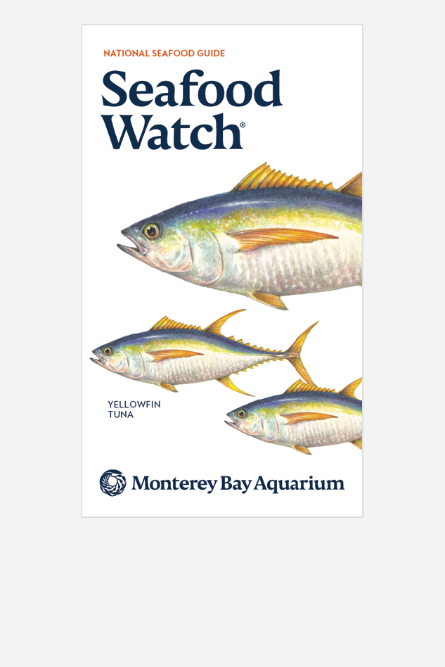 Cover of the National Seafood Guide with three illustrated yellowfin tuna and the Monterey Bay Aquarium logo