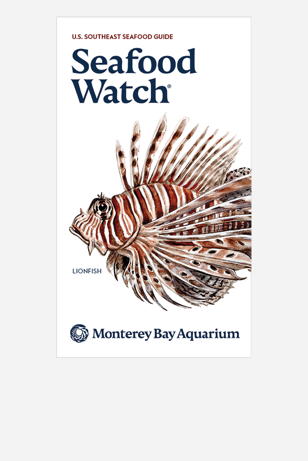 Cover of the U.S. Southeast Seafood Guide with an illustrated lionfish and the Monterey Bay Aquarium logo.