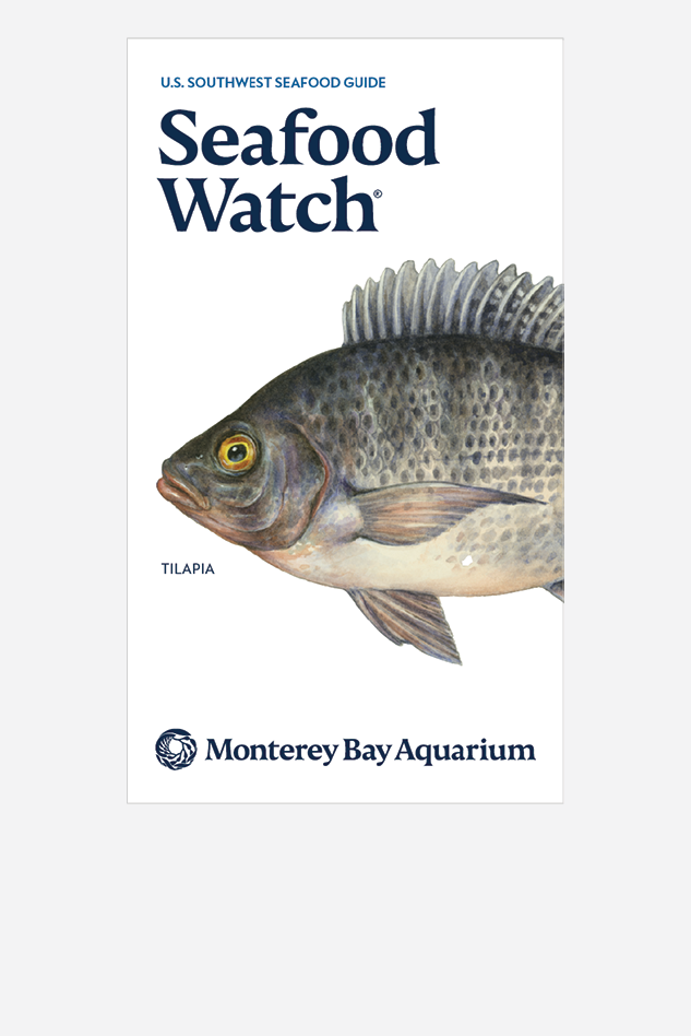 Cover of the U.S. Southwest Guide with an illustrated tilapia and the Monterey Bay Aquarium logo