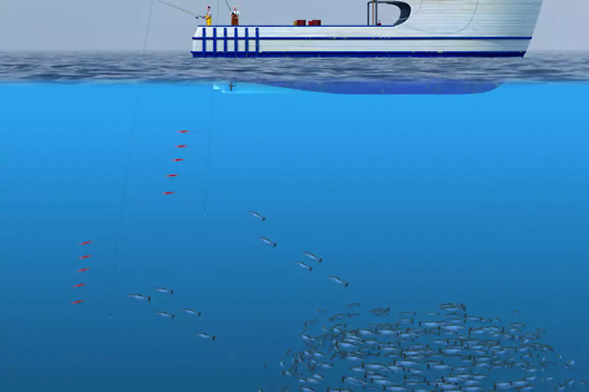 Illustration of a boat with fishers using pole-and-lines.