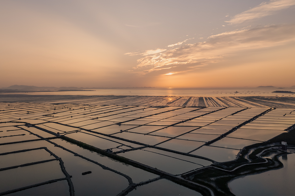 A view of a large clam farm at dusk