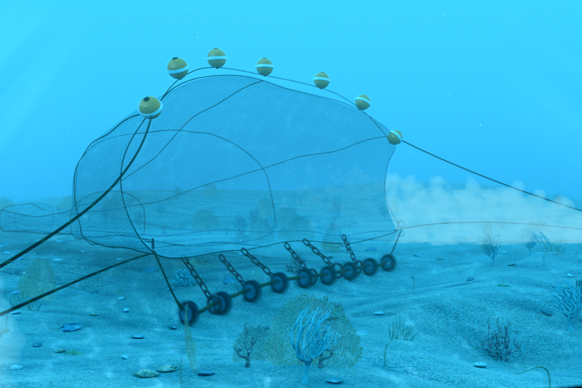 Underwater illustration of a bottom trawl net dragged along the seafloor.