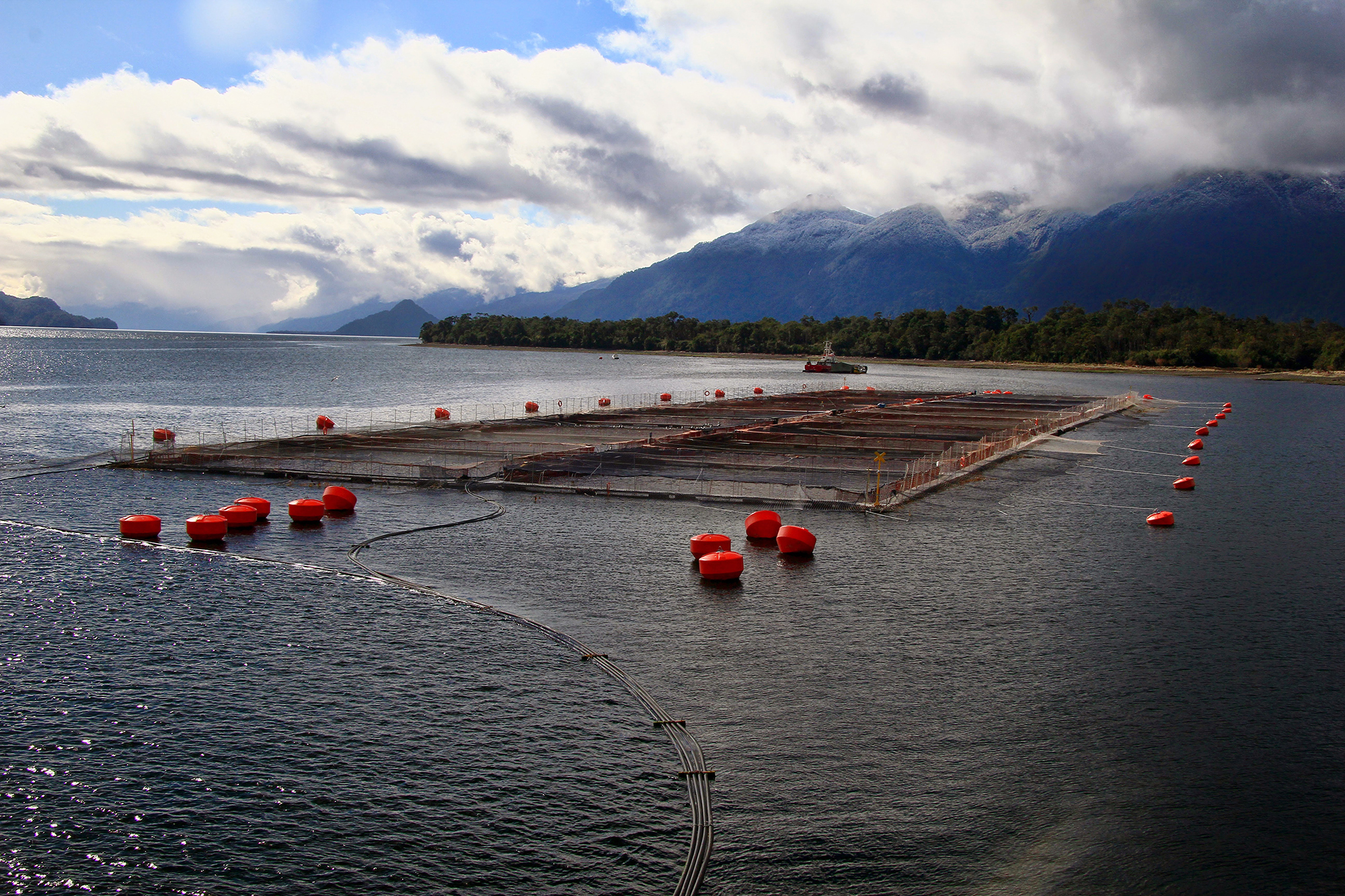 Aquaculture farm in an ocean bay with mountains and clouds in the background