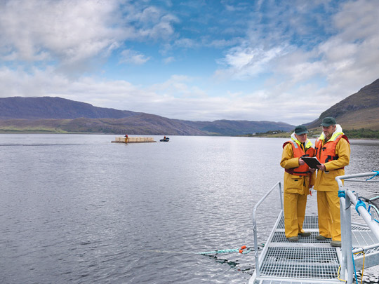Aquaculture workers in yellow rain gear and orange life vests stand on a dock, holding a fish beside net pens on a lake.