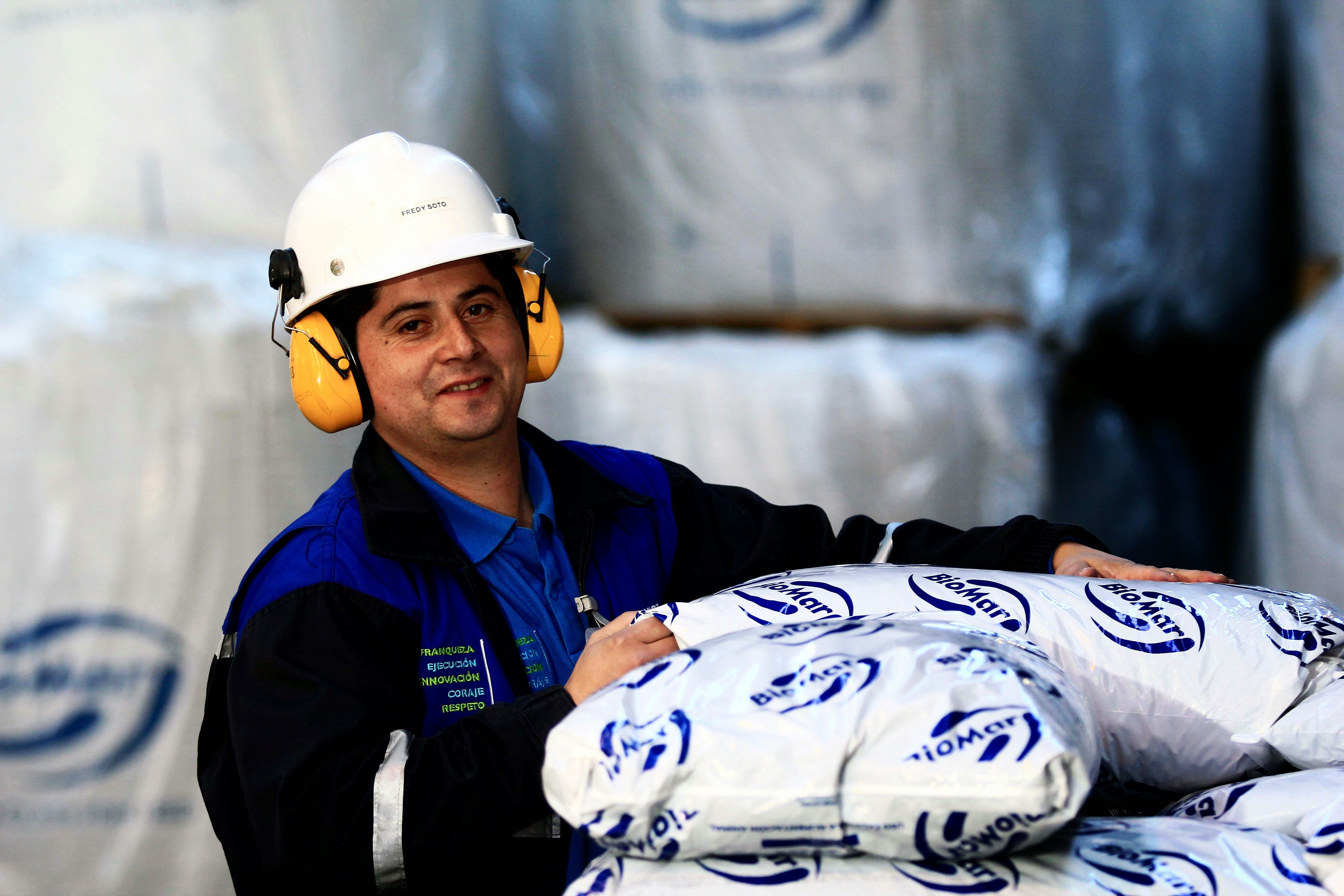 A person with a hard hat and large headphones on looking into the camera as the move large feed bags