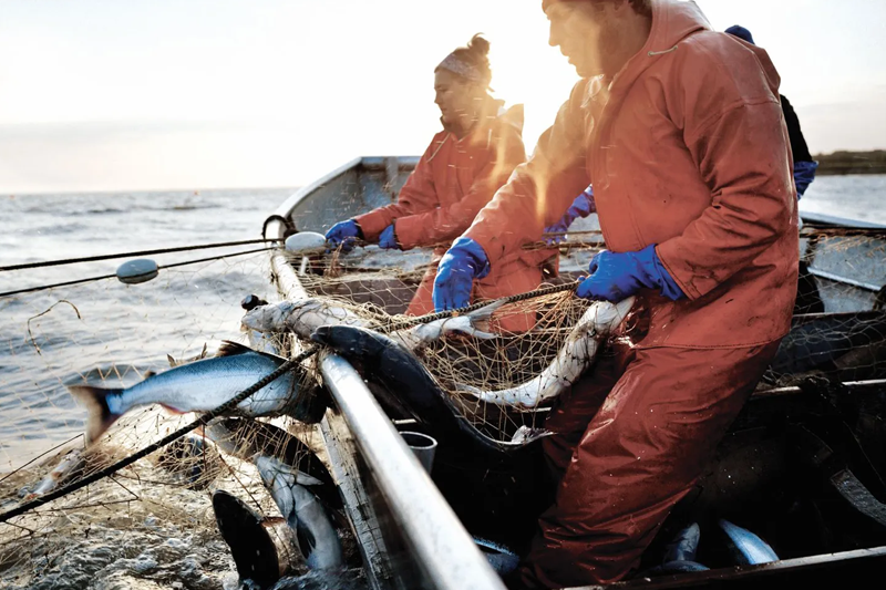 People fishing in orange fishing gear on a boat in a choppy ocean pulling in a haul of fish in a net
