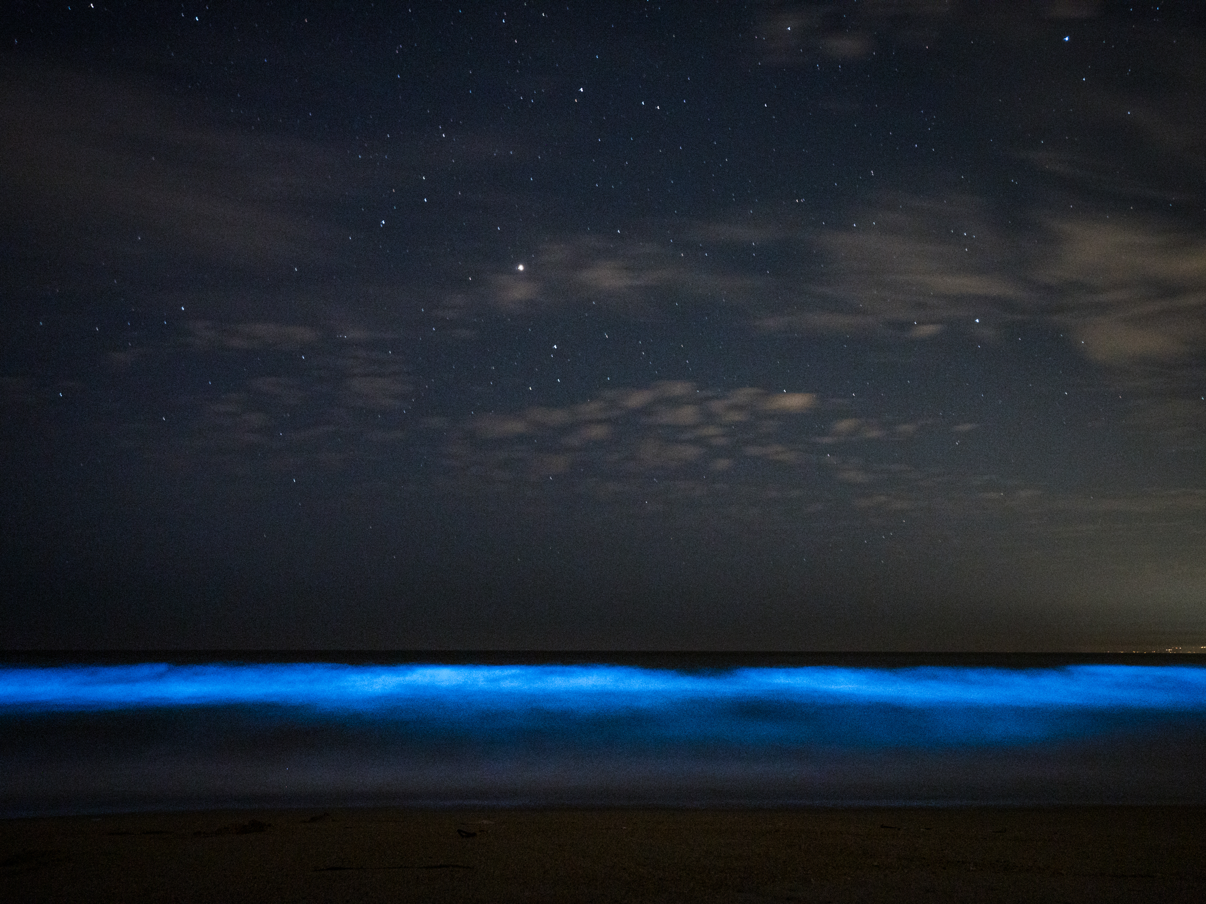 Bioluminescence waves under  a star filled night sky