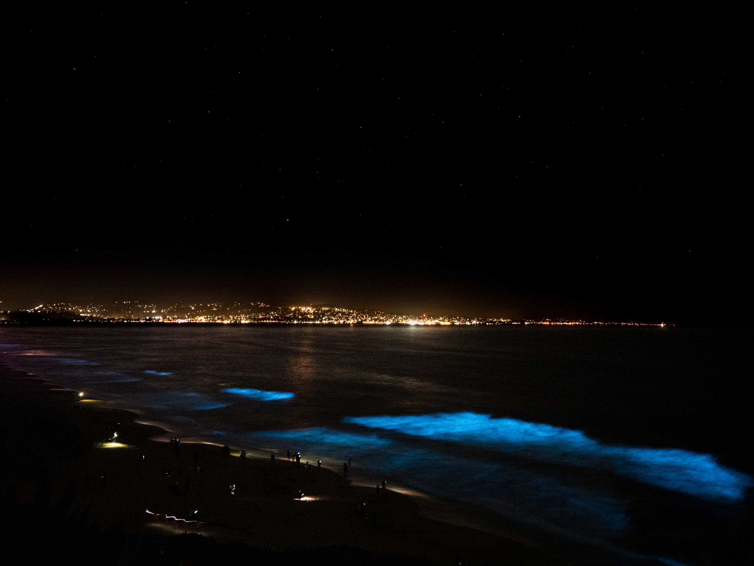 Bioluminescence waves with Monterey Bay in the background
