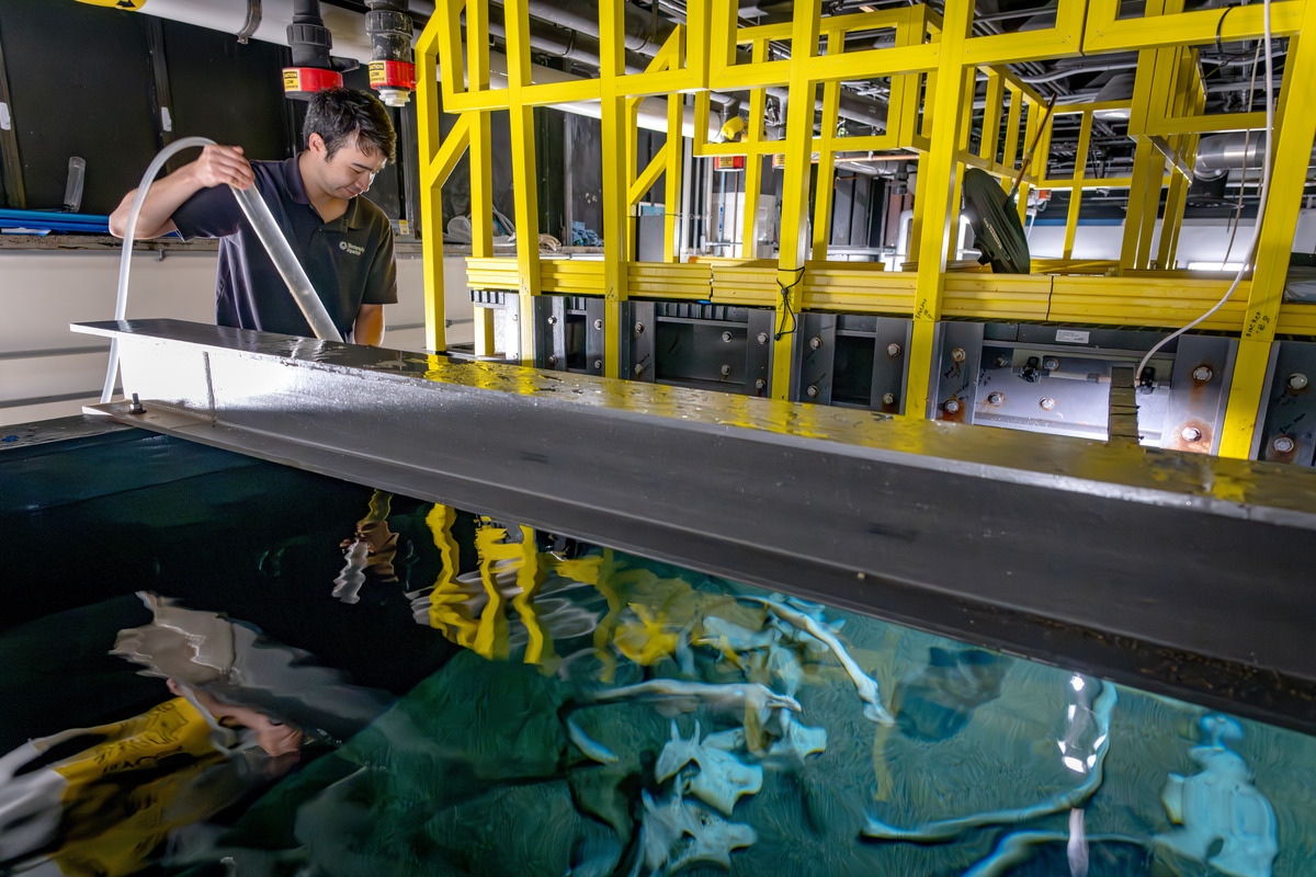 A staff person with black hair and a dark blue polo shirt works behind the scenes of the whalefall exhibit at the Monterey Bay Aquarium