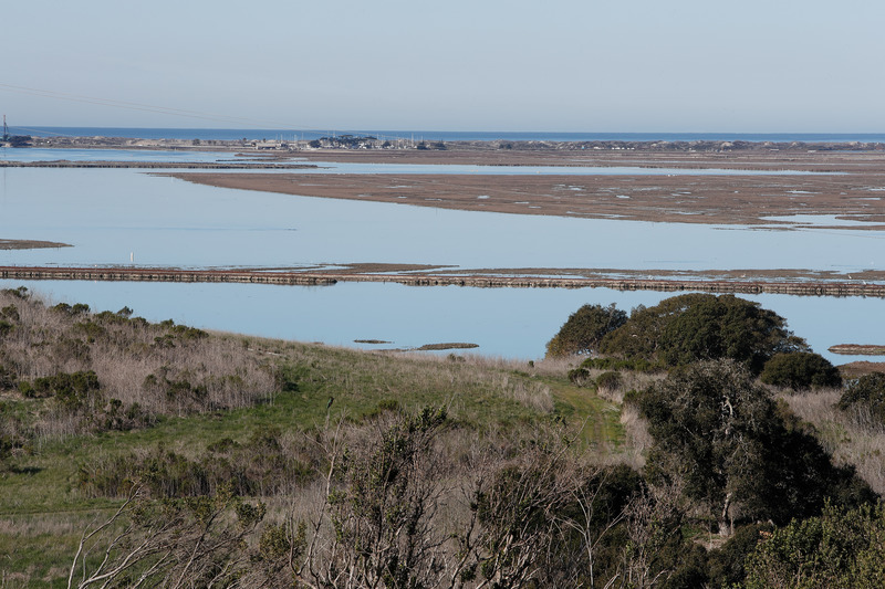 A sweeping view of Elkhorn Slough's main channel and mudflats stretching toward the ocean