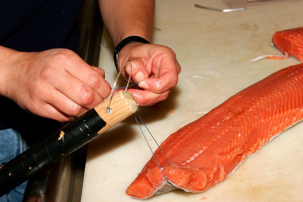 An aquarium staff member is preparing a salmon steak for a white shark
