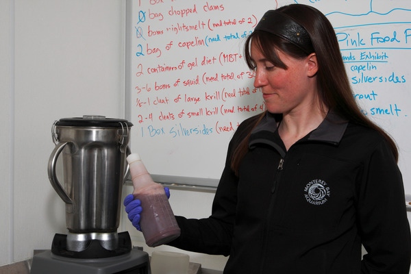 Aquarium staff member, Kristin, shows off a freshly blended krill shake