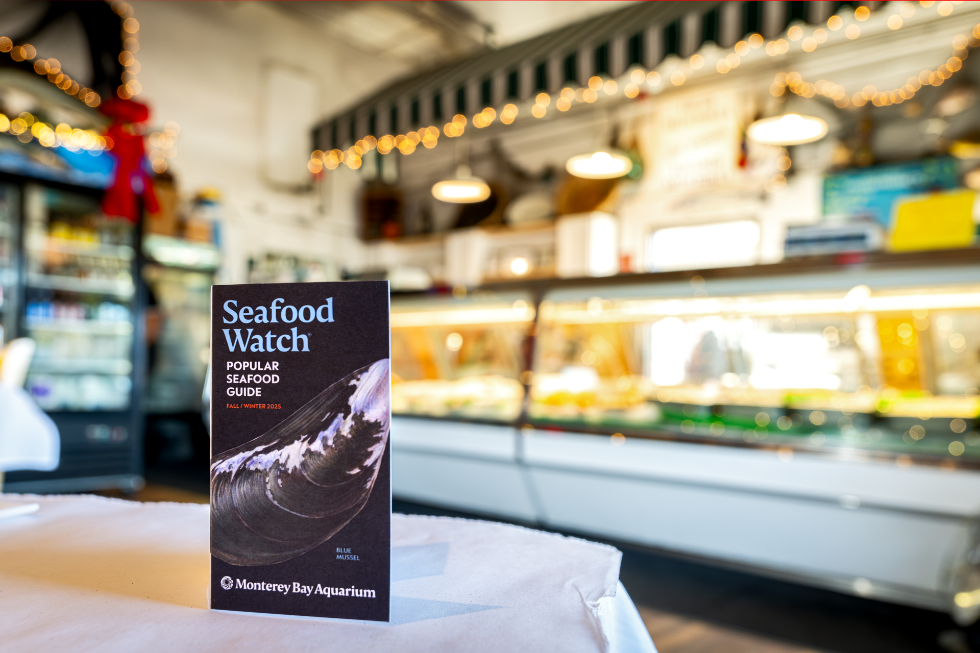 Seafood Watch Pocket Guides for Fall/Winter 2025