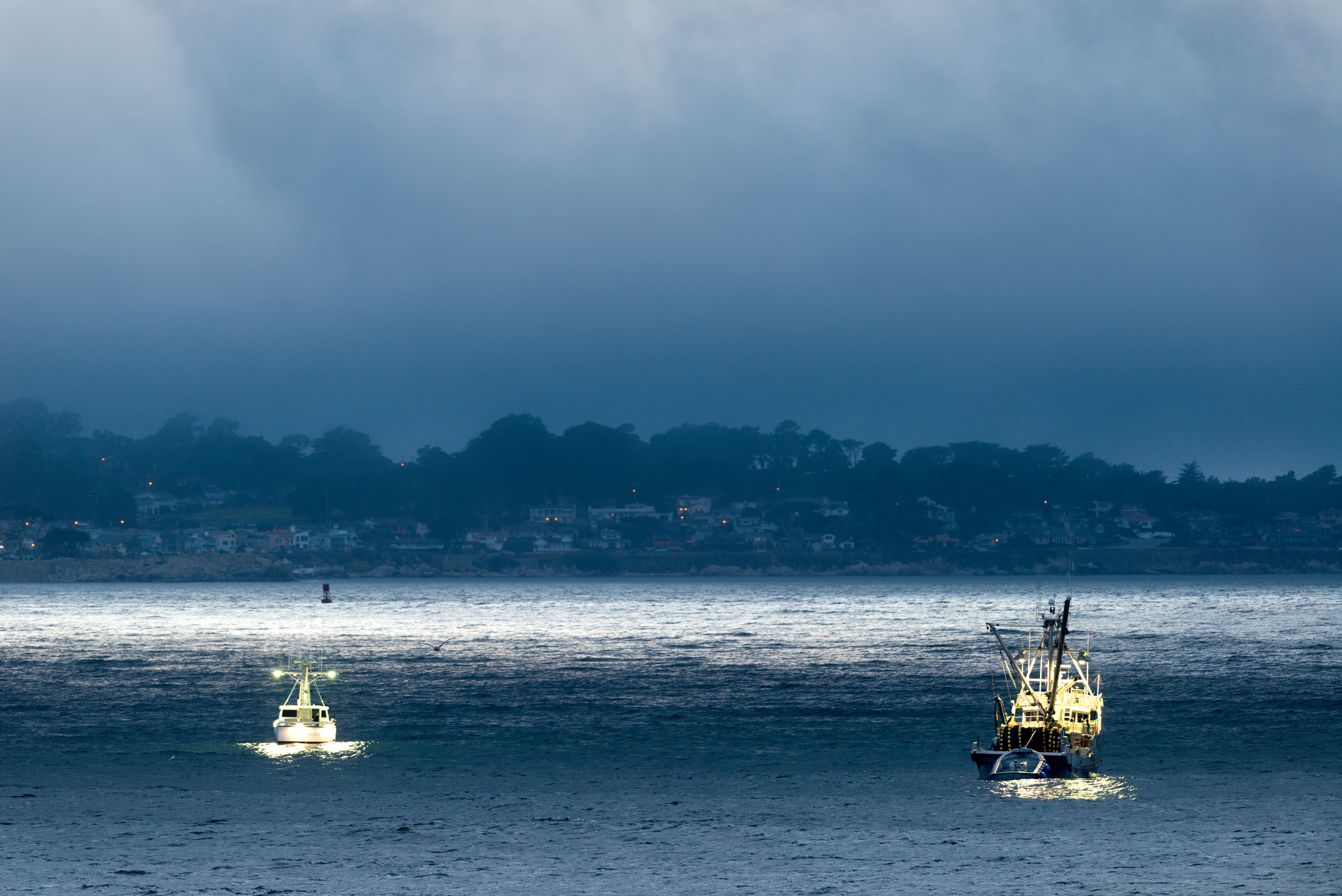 Squid boats fishing for squid with purse seine nets in Monterey Bay