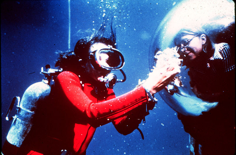 Sylvia on a deep dive