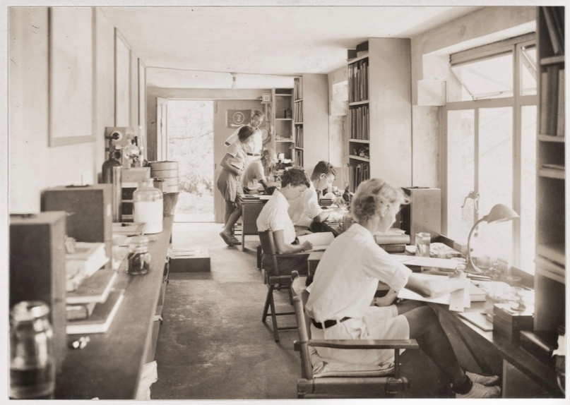 Jocelyn Griffin, Gloria Anable and Else Bostelmann working in an office space working on deep sea research