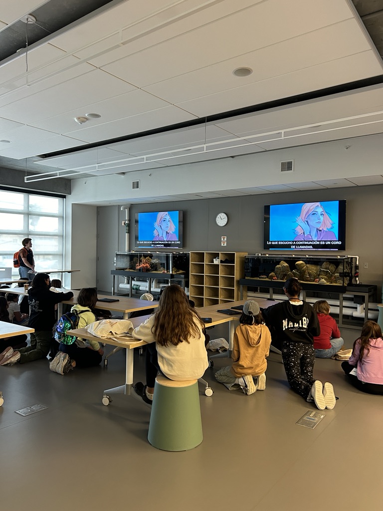 A group of OLAs students turned to TV monitors watching Swim Down on a flatscreen TV above fish tanks in an Aquarium lab