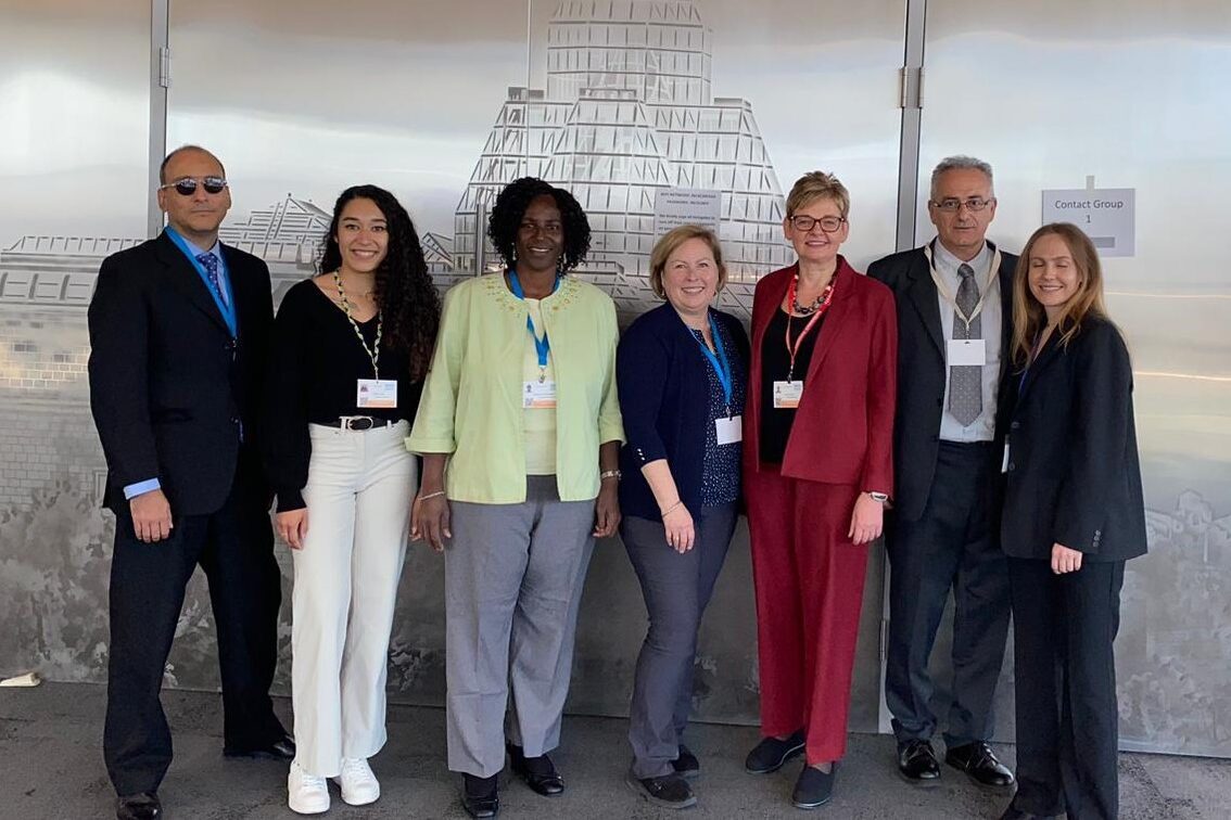 International Science Council panel at plastics talks