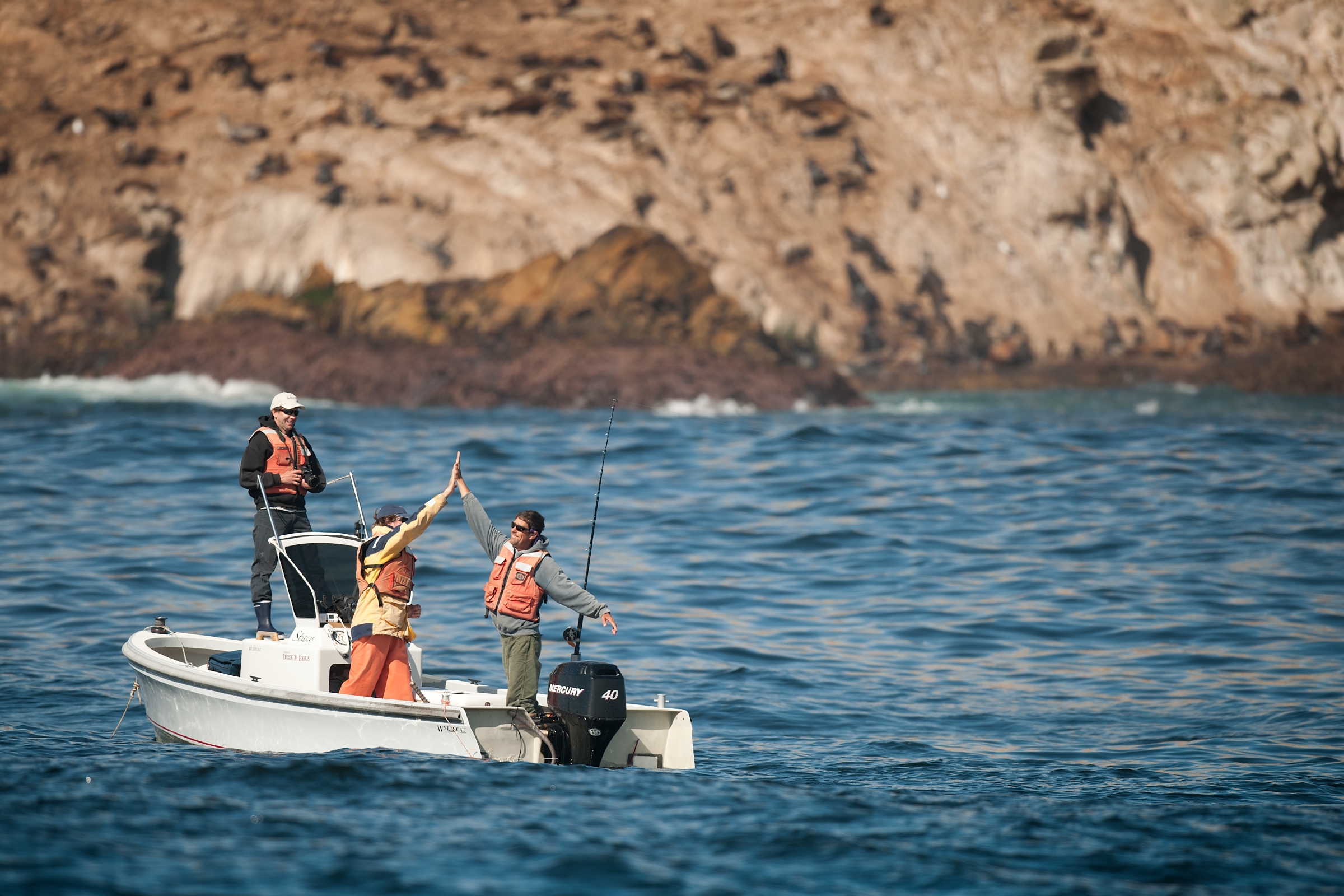 Three researchers in life vests high-five on a small boat near a rocky island crowded with sea lions