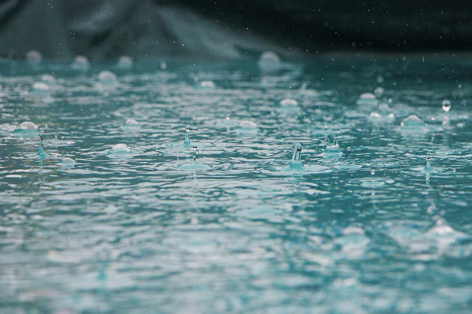 Rain splashing into a puddle