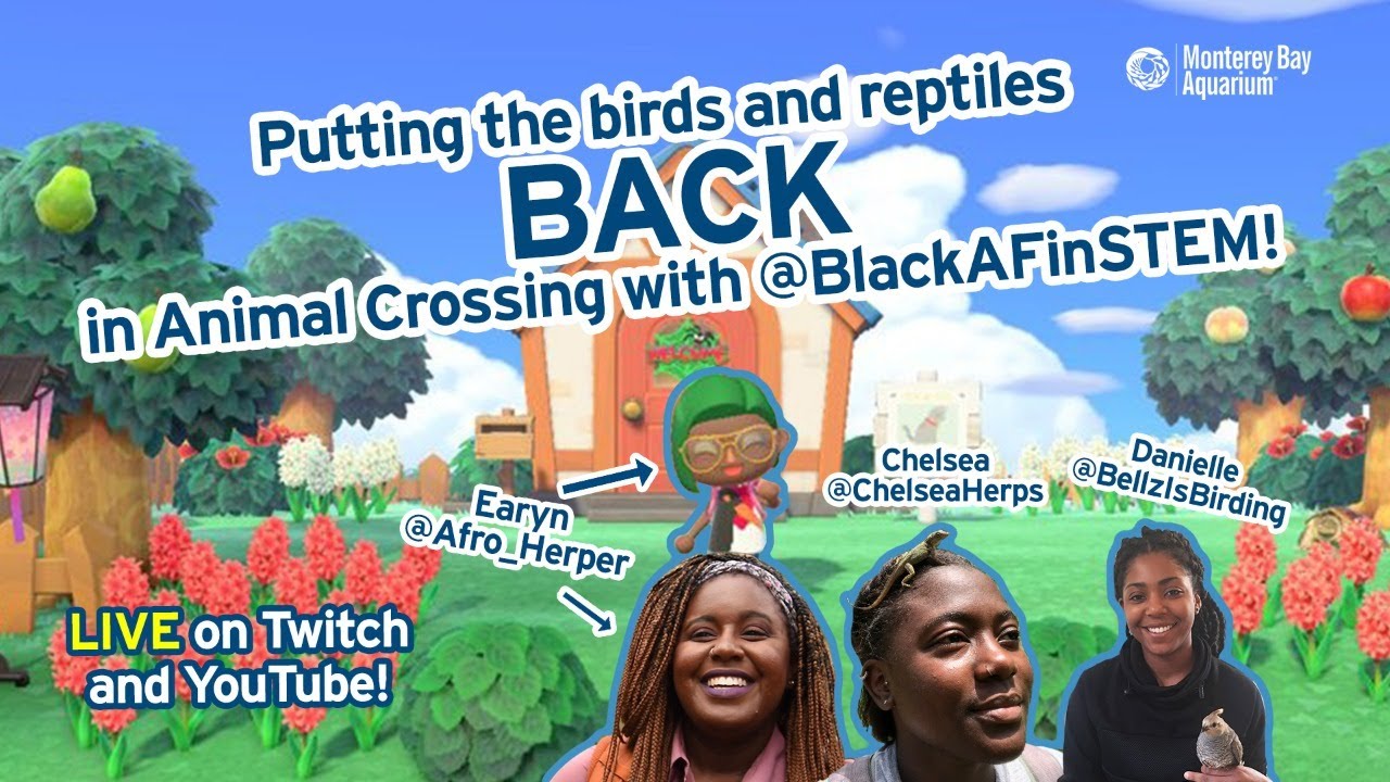 Promotional graphic for a live stream about birds and reptiles in Animal Crossing with BlackAFinSTEM, featuring three participants