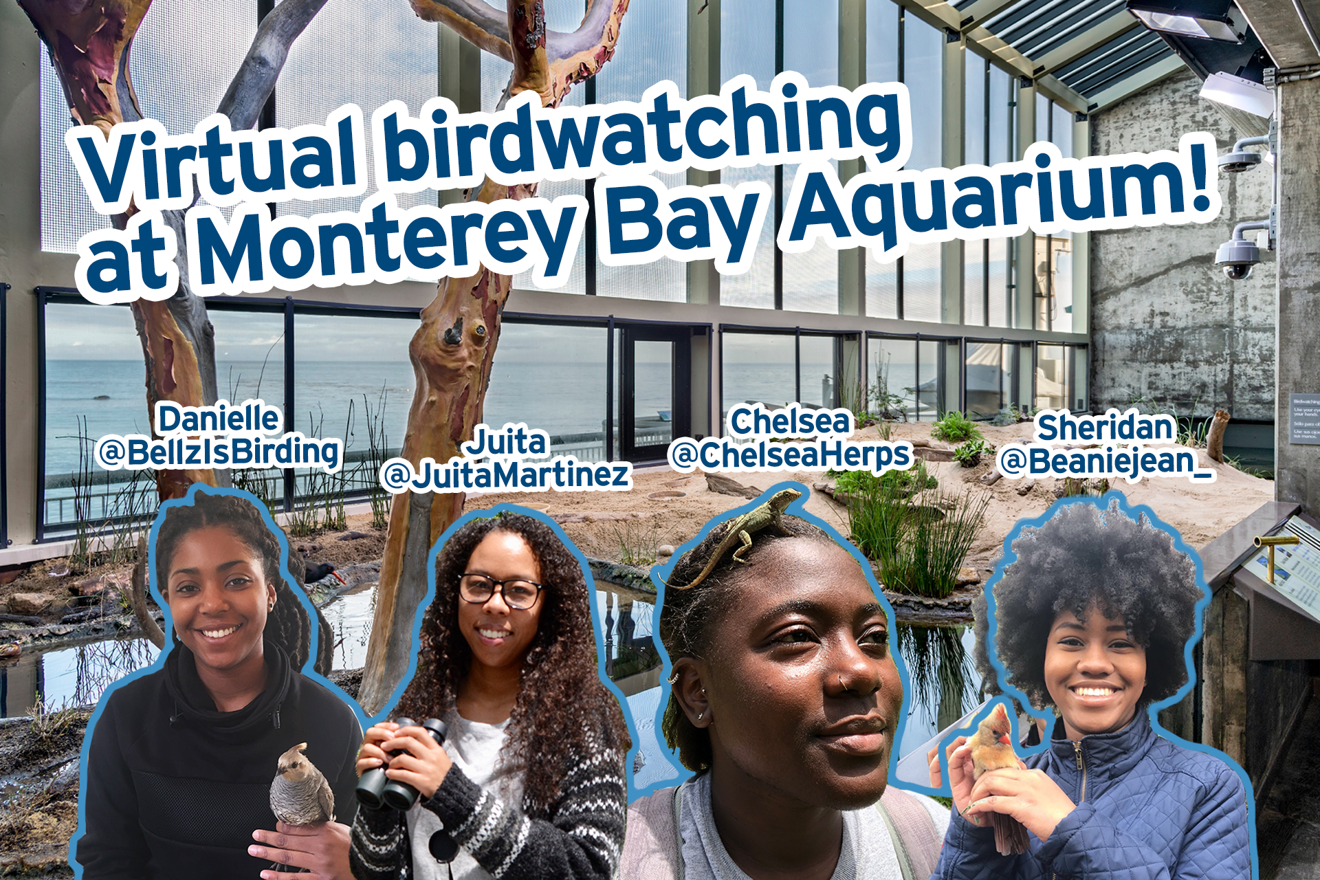 Promotional graphic for Virtual Birdwatching at Monterey Bay Aquarium featuring four Black Birders Week participants