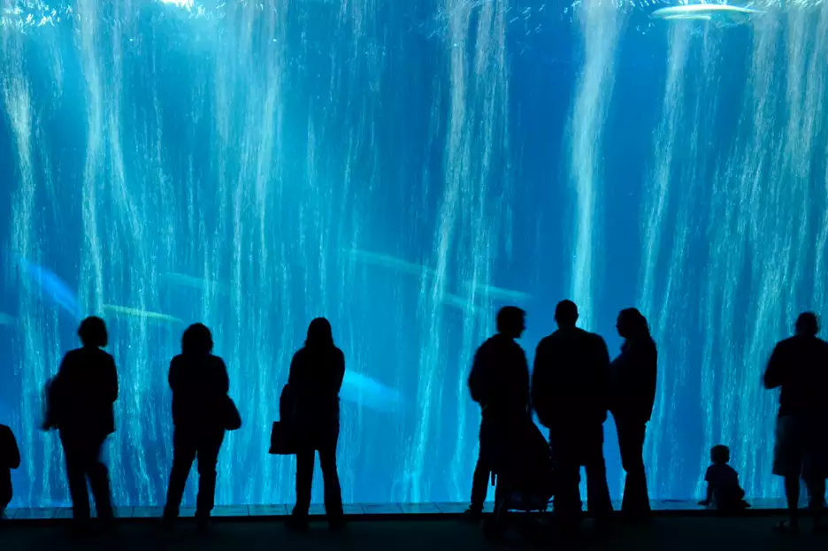Silhouettes of visitors looking into the large window of the Open Sea